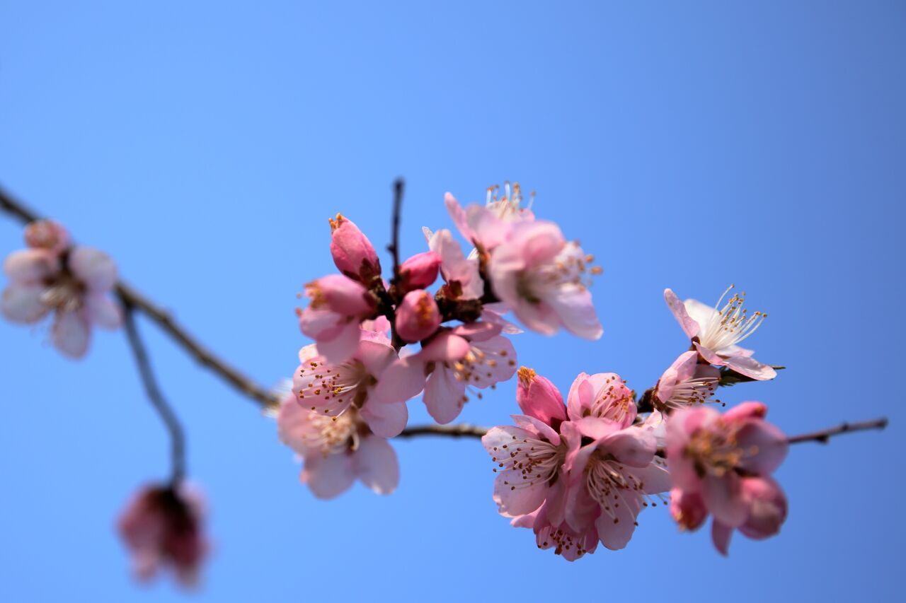 学 院 办 公 室