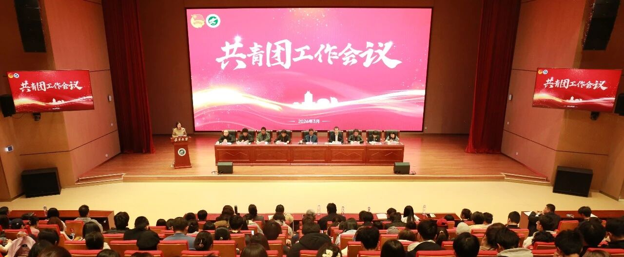 pc加拿大2.8预算预测新手怎么玩团讯