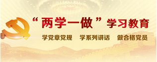 十载耕耘逐梦行 薪火相传谱新篇